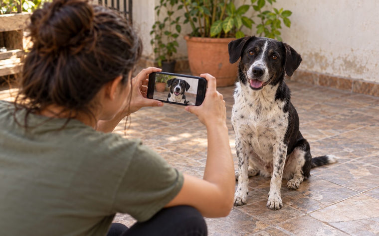Uma voluntária agachada fotografa com o celular um cachorro preto e branco sentado num quintal.